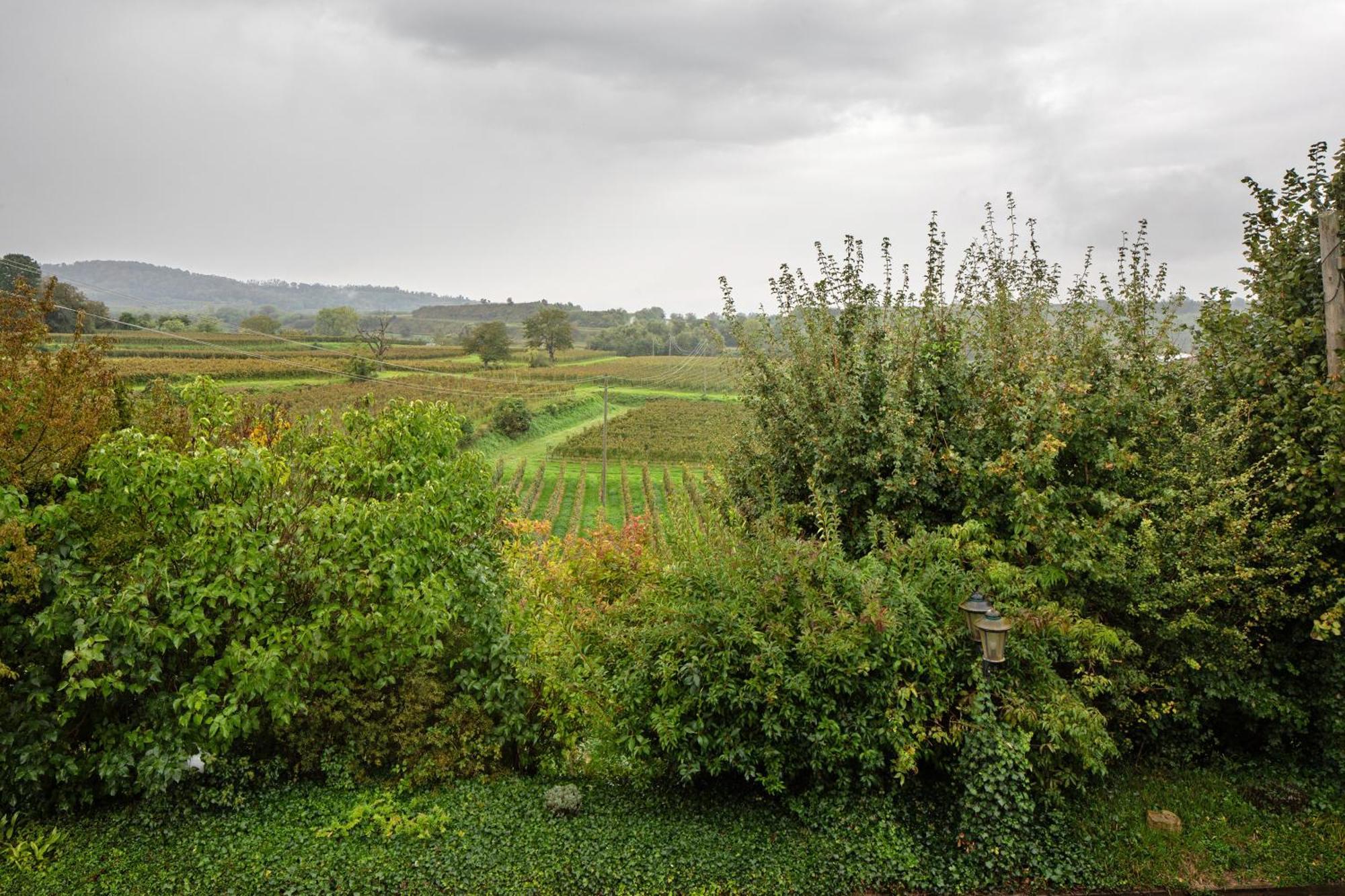 Ferienhaus Engelsberghof Endingen am Kaiserstuhl Zewnętrze zdjęcie